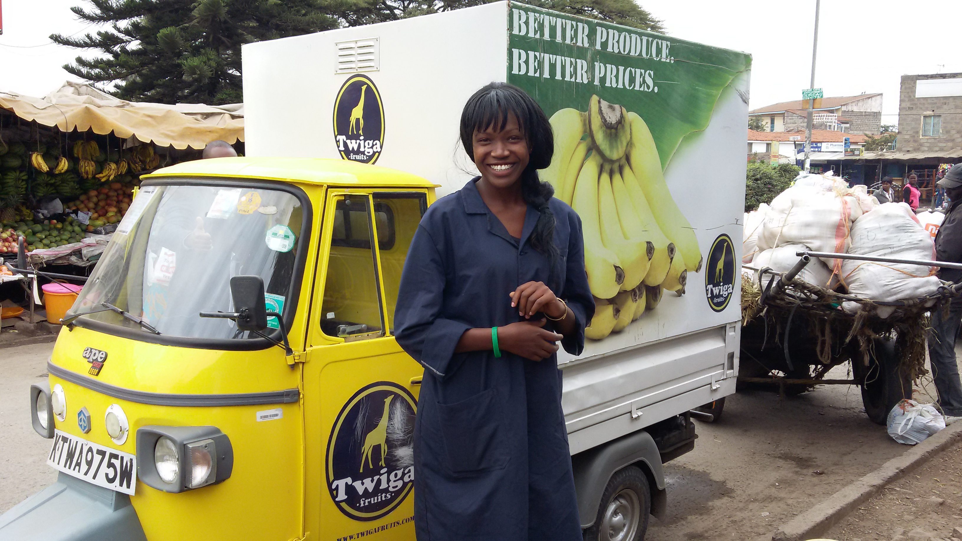 Order our oysters, they are delivered to you in 24 hours in France only